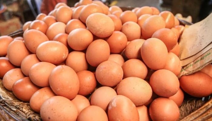 ডিমের দাম ডজনে বাড়ল ১০ টাকা