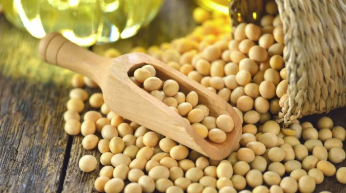Soybean