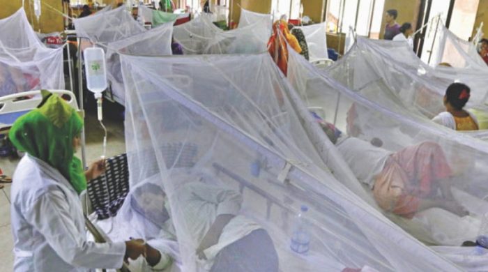 dengue 1757756754