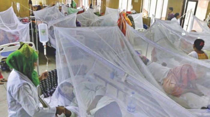 dengue 1758111774