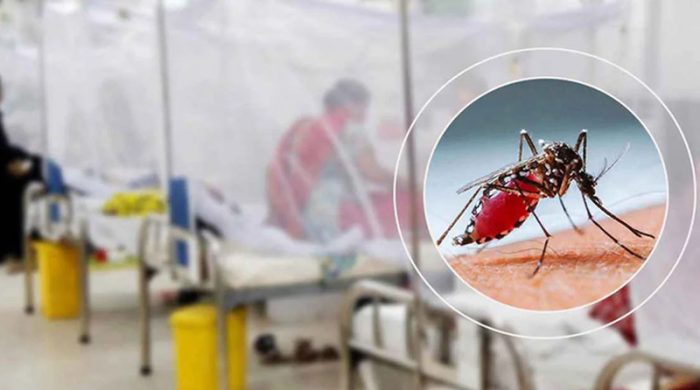 dengue 1758537624 2