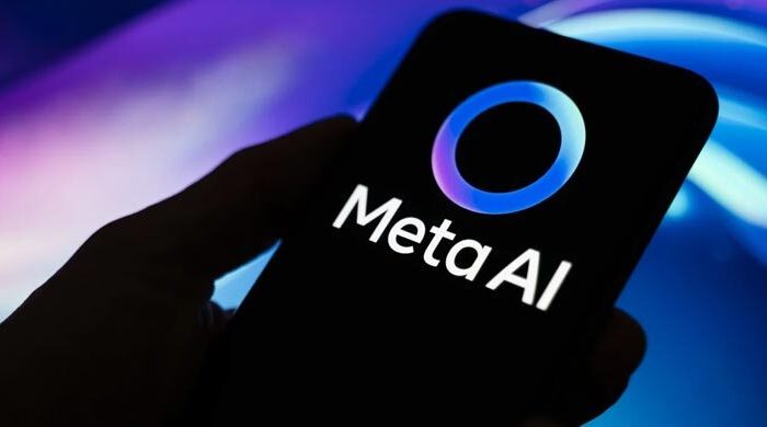 meta ai 20251116144535