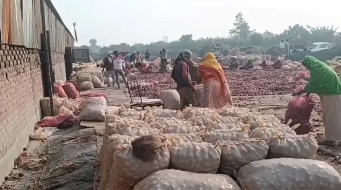 onion 20251130101509 1