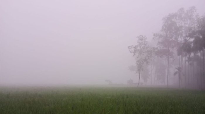 winter 20251106101403 1024x576 1