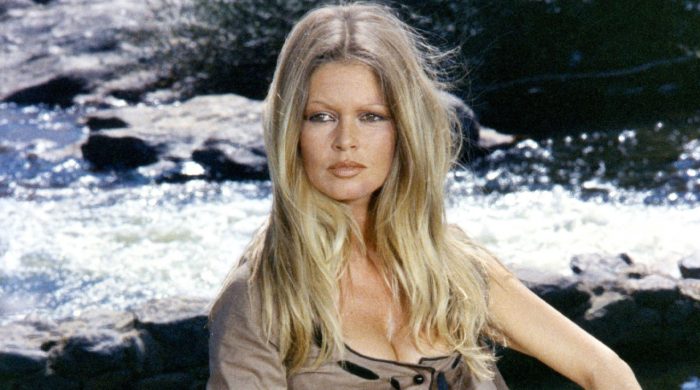 brigitte bardot 20251228172519