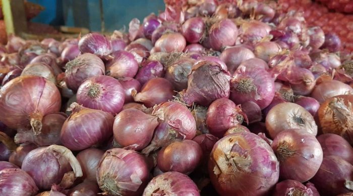 onion price 20251213103033 1024x576 1