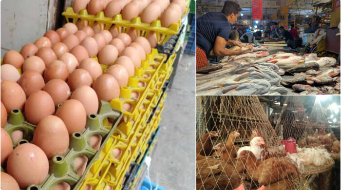 bazar 20260116112733