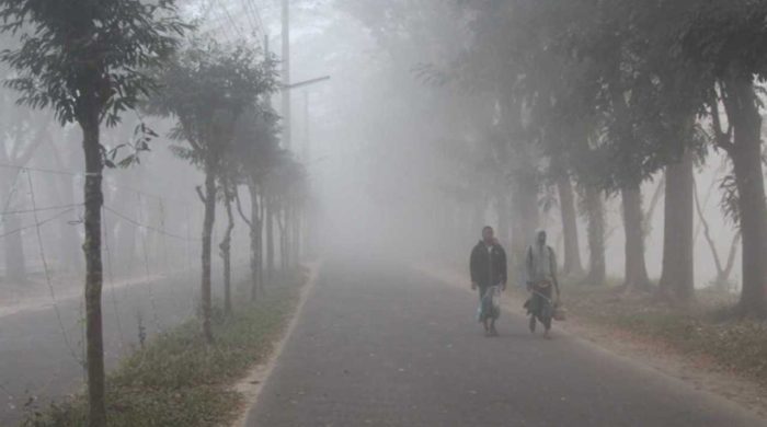 cold wave 20260106114736