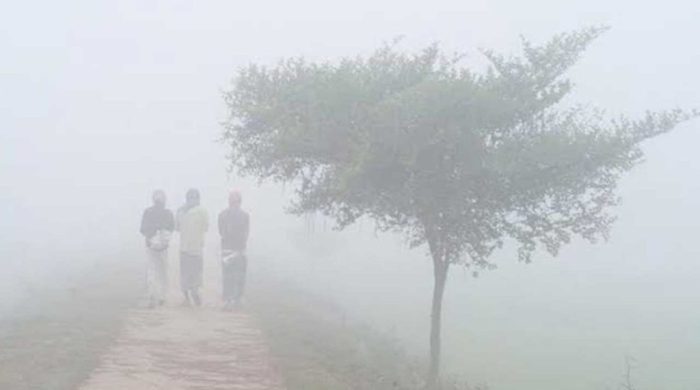 coldwave 20251231114709 20260107115424 1024x576 1