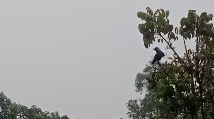 unnamed 28 1 697c2d98ae59d