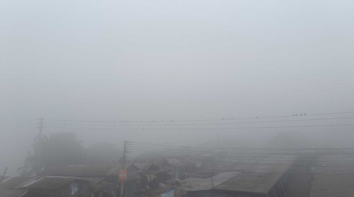 untitled 1 1767797773