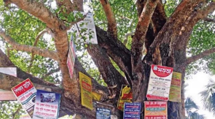 untitled 3 1767719880 1767782292