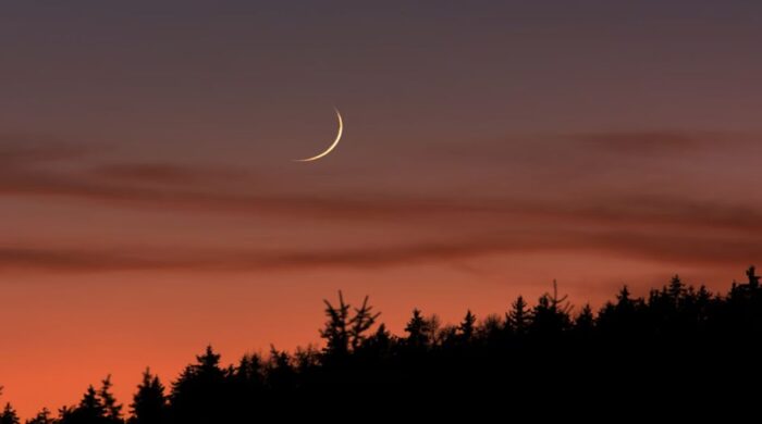 dhaka post 2026 02 18t184330787 20260218184150