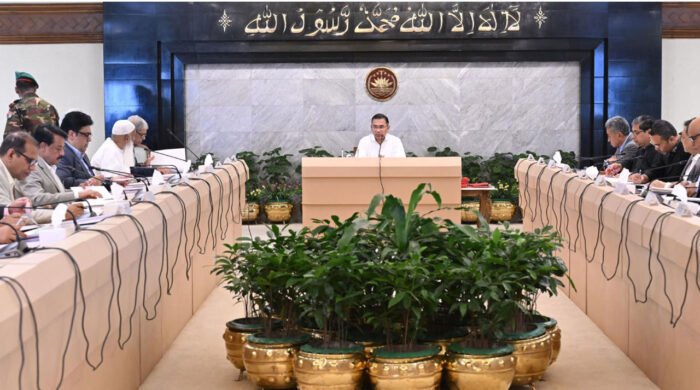 pmo tareq 20260221144523