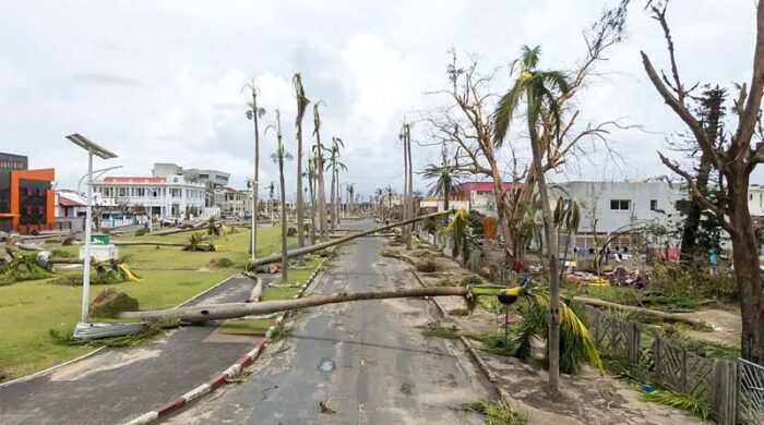 untitled 1 1770861853