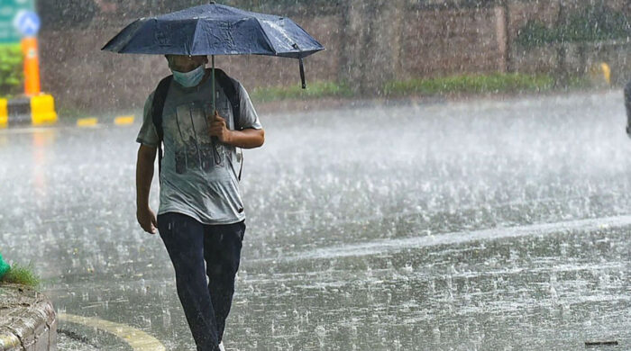 brishty 20250820203215 20260308110739