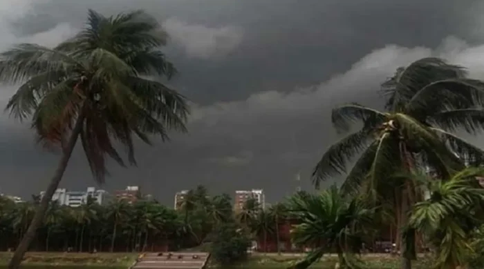 dhaka weather 20260330082451