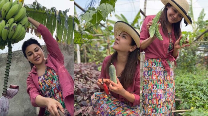 untitled 6gg 1774350183