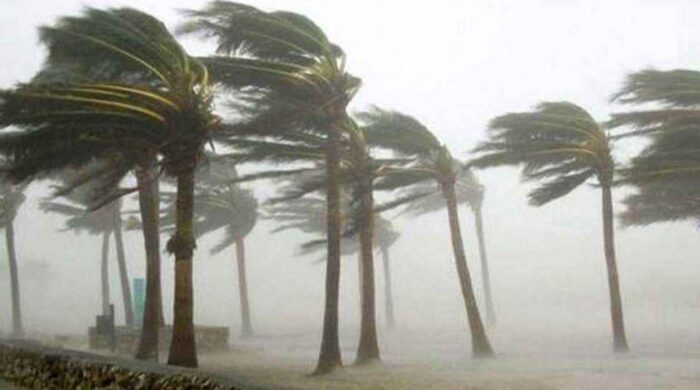 IMG 20260409 092411 1