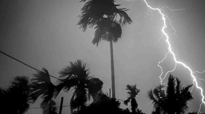 Kalboishakhi 69eed607a774d