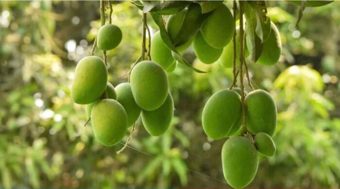 Screenshot 1 35 1024x552 1