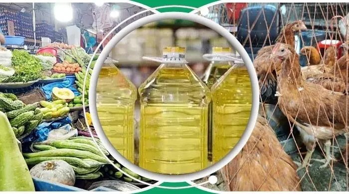 baazar mnsdnuu8u1fe0gl 20260410100101