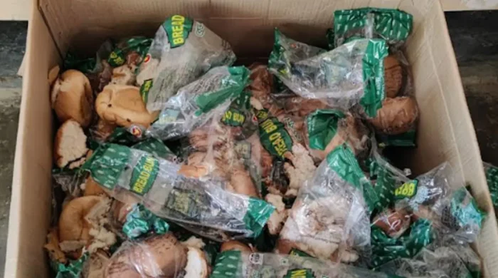 chapai 20260429103351