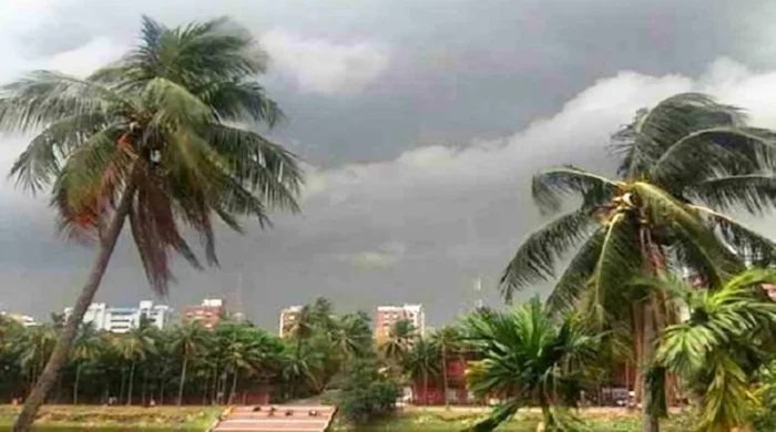 dhaka post 2026 04 26t081755497 20260426081636