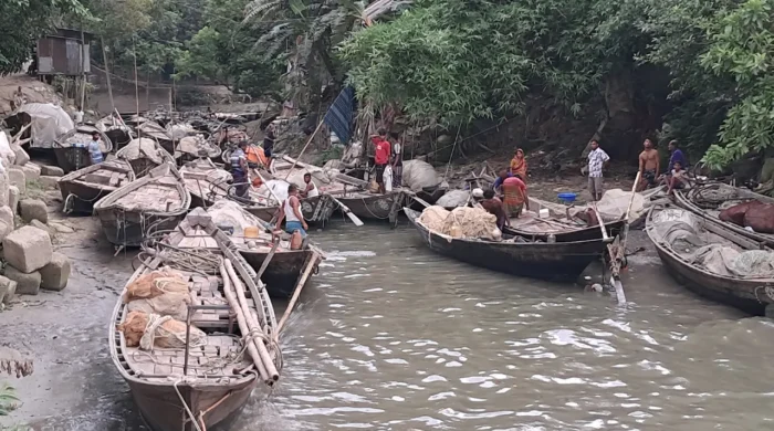 elisha 20260430175159