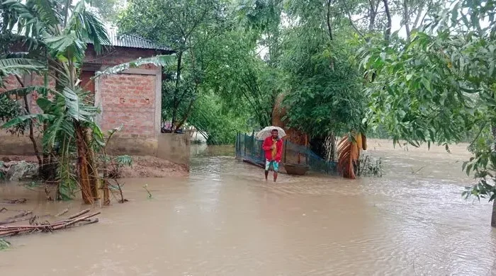 moulvibazar cover 20260429182951