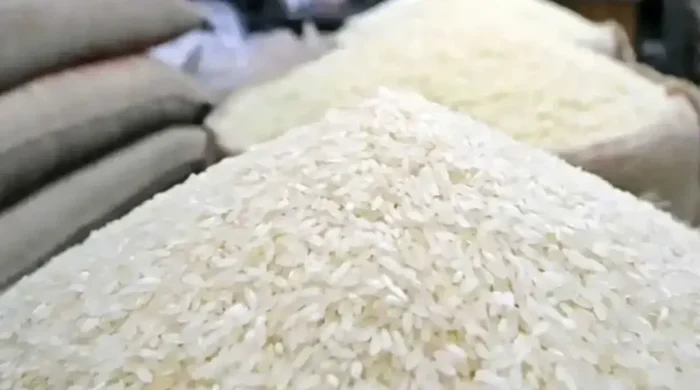 rice 20260405155055 1024x576 1