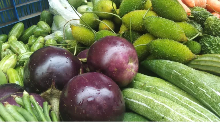 vegetable 20260417113613