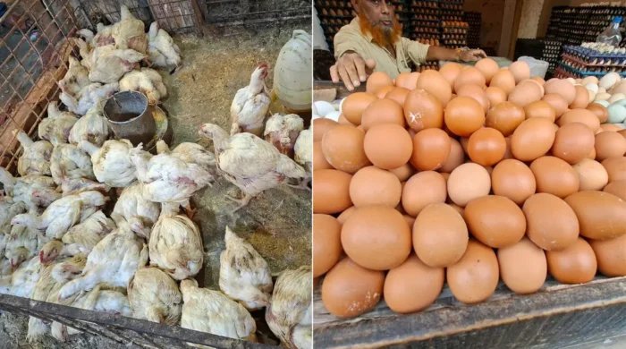 market 20260515105216
