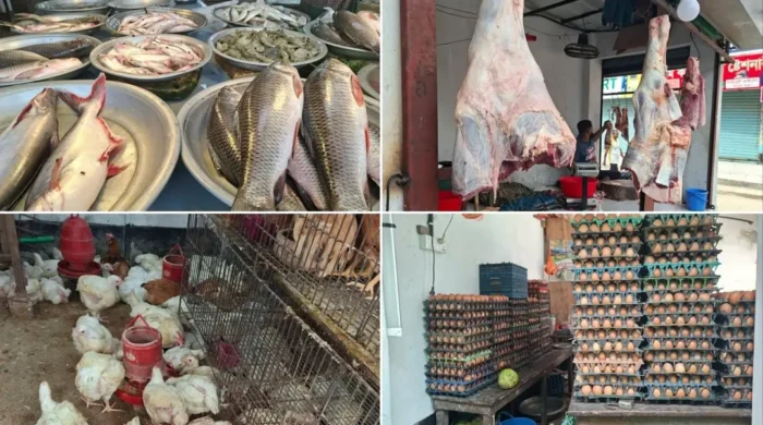 market 20260522111706