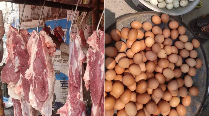 meat 20260508120941
