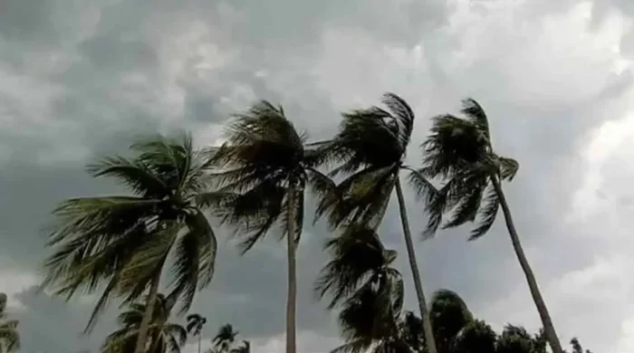 storm 20260512075649