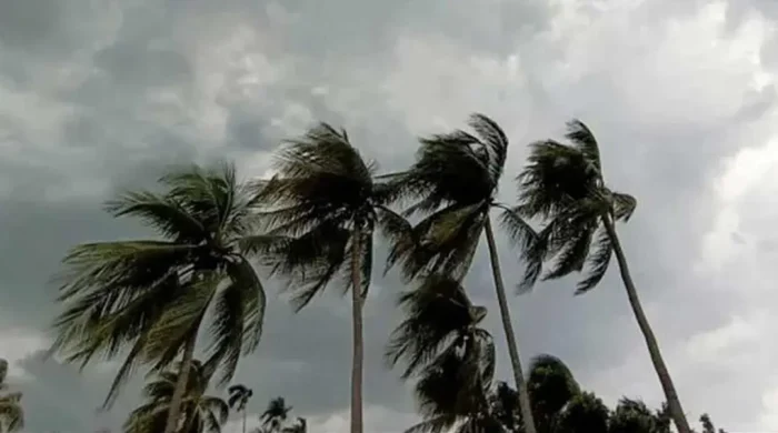 storm 20260512201236