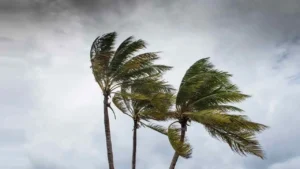 storm 20260530085303