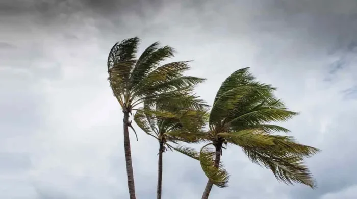 storm 20260530085303