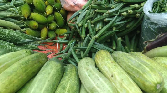 vegetable 1 20260508100036