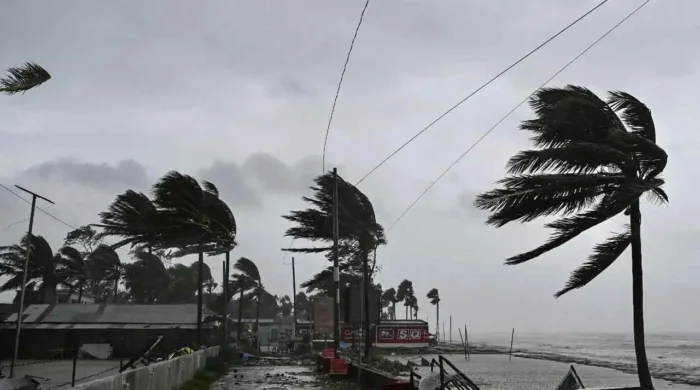 wind 20260519085306
