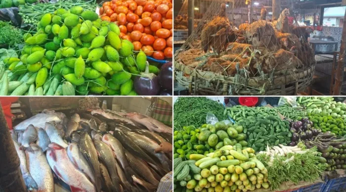 market 1 20260619111617