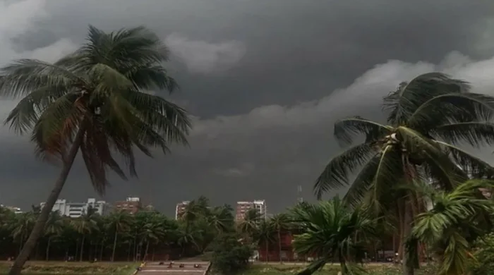 rain 2 20260604174031 1