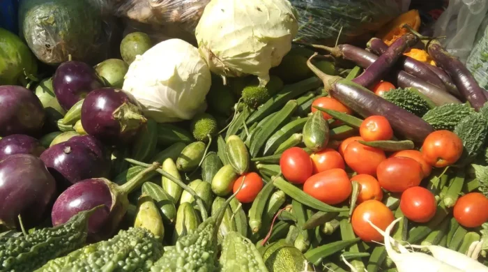 vegetable 2 20260612104317