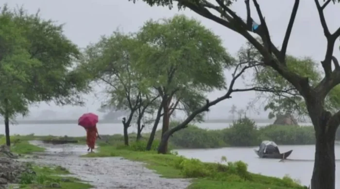 weather 1 20260611213014