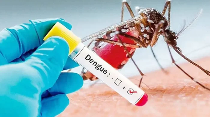 dengue 1 20260716212434 1