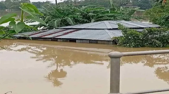 flood 20260719142113