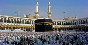 haj mrlo81rqivecedp 20260715120514