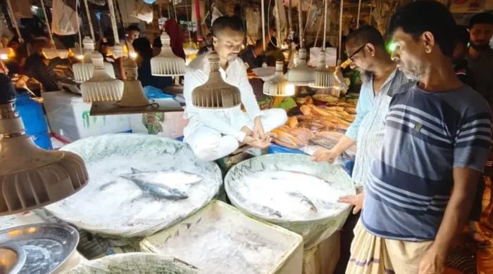 ilish 1 20260718134621 1024x576 1