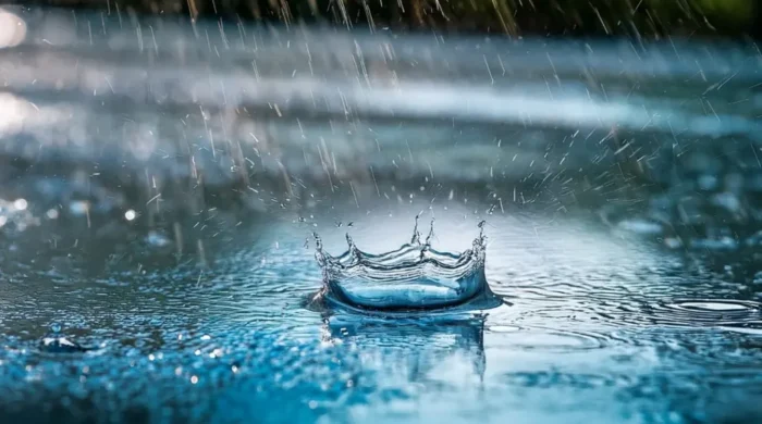 rain 1 20260704125146 1024x576 1
